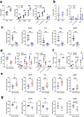 Food antigens suppress small intestinal tumorigenesis